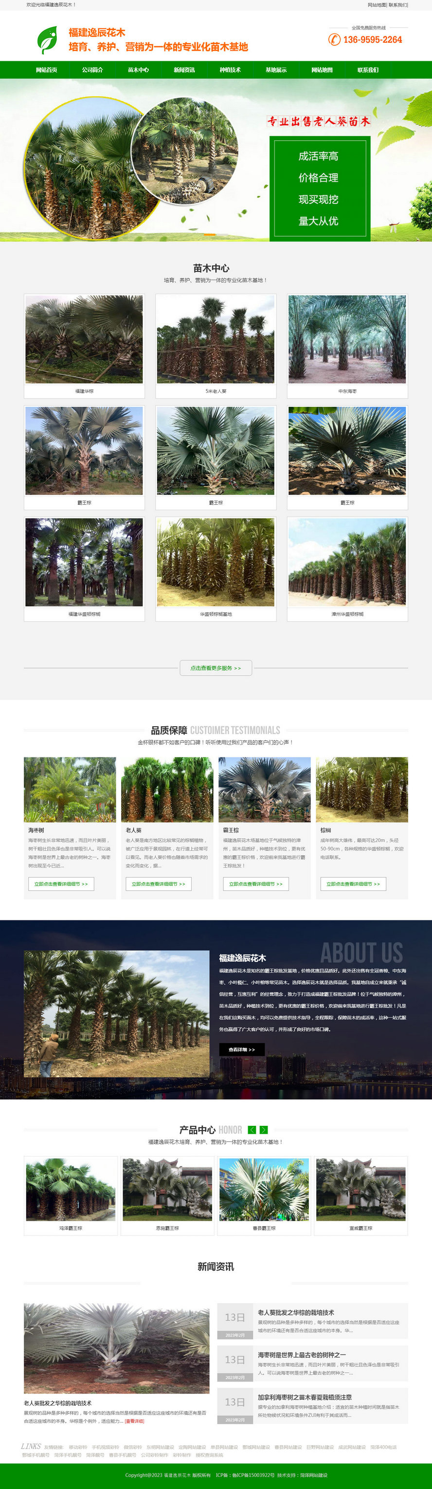 霸王棕_霸王棕價格_福建霸王棕-福建逸辰花木.jpg 霸王棕_霸王棕價格_福建霸王棕-福建逸辰花木.jpg